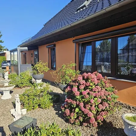 Koester *