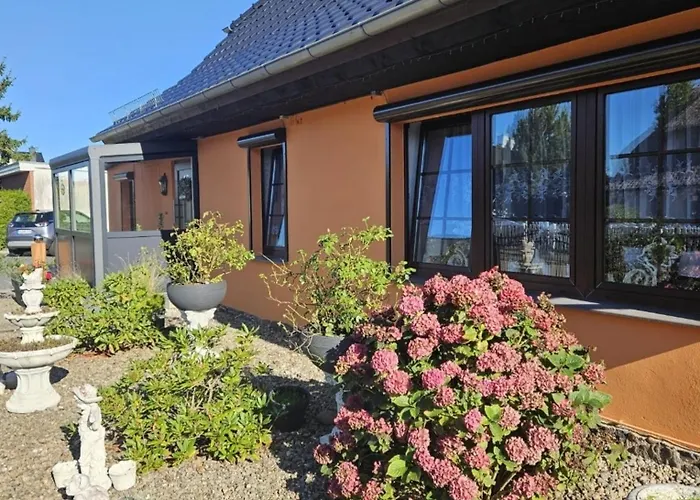 Koester *